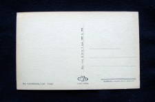 201122__dsc09981