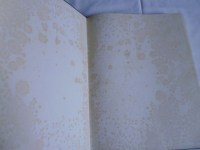 201125__p1020177