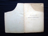 201208__dsc00084