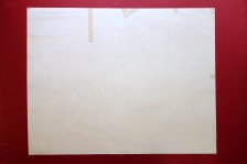 210611__dsc04524