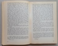 210616__img_2733