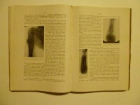 211003__p1050341