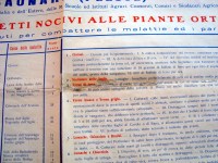 211206__211206__dsc02999
