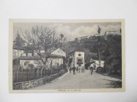 220319__p1070299