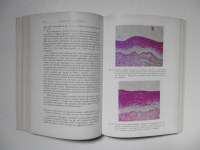 220401__p1070556