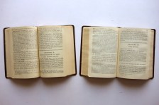 221007__dsc00252