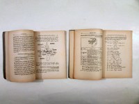 230616__img_0532