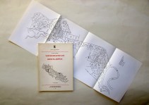 230906__img_1299