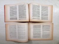 240308__img_1998