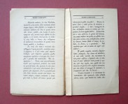 240402__dsc07013