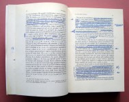 240410__dsc07121