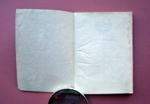 240930__dsc07682