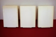 250206__dsc01518
