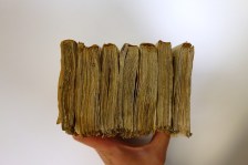 250321__dsc02411