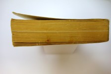 250404dsc03004