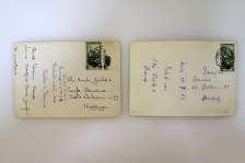 250523__dsc04529