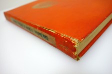 250606dsc05022