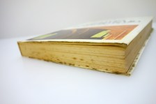 250606dsc05135