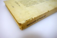 250606dsc05146