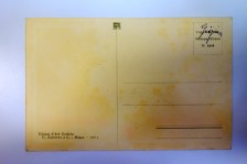 250606dsc05179