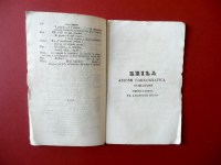 P1610679