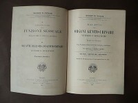 img_19092249816397