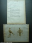 img_19165706161197