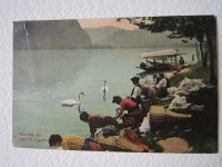 img_19189333983497