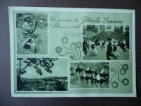 img_20114745722797